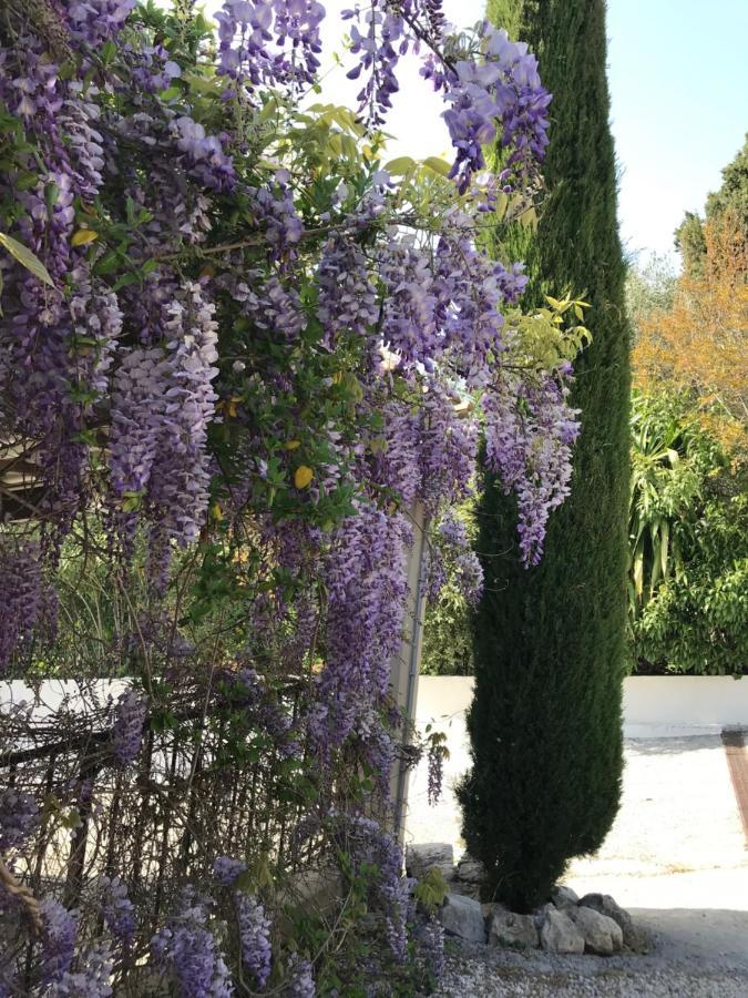 Bastide Nomade - Guest House Saint-Paul-de-Vence Exterior foto